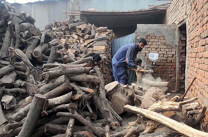 A vendor cutting wood in to pieces for selling purpose at his workplace as the demand increased for wood after dropping mercury in the city.