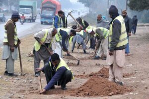 A view of leafless trees at center path of road in Federal Capital