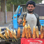 A vendor displaying the corn to attract the customers at Qasimabad