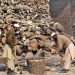 Labourers busy cutting wood into pieces for selling purpose at their workplace