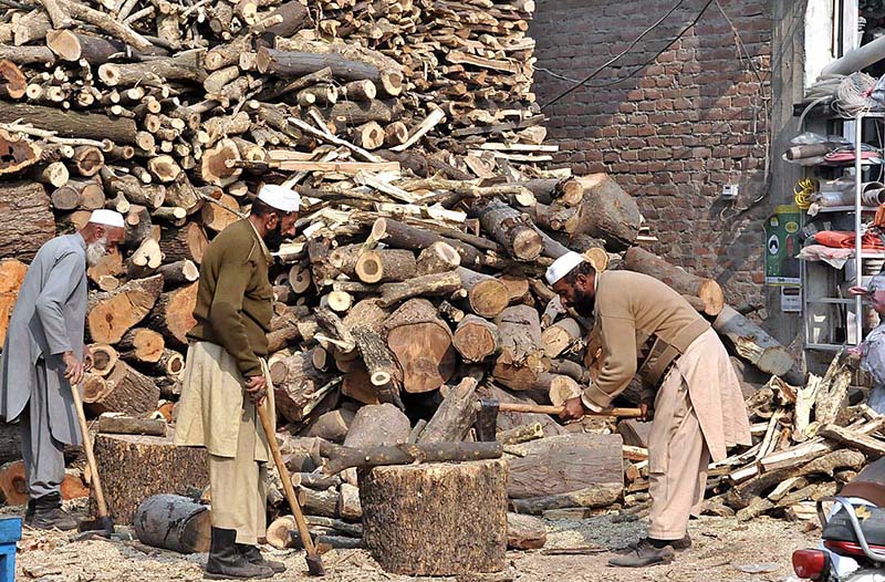 Labourers busy cutting wood into pieces for selling purpose at their workplace