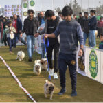 Handlers running with Dogs during the international all-breed championship Dog Show in collaboration with Pakistan Kennel Union at DHA
