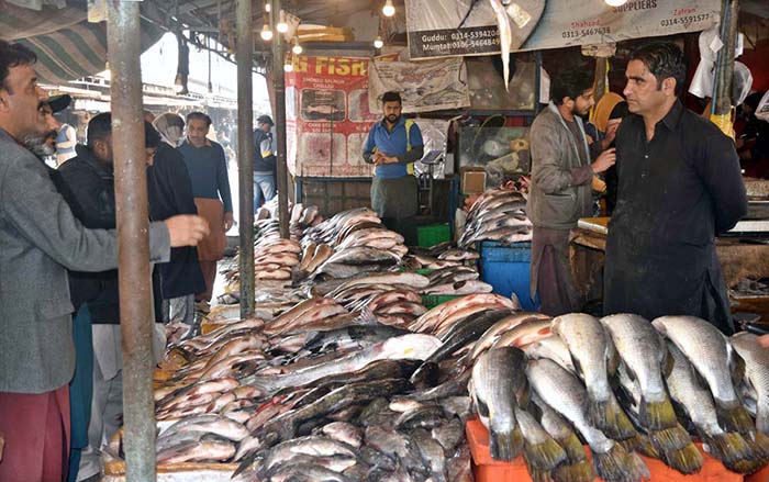 A vendor selling and displaying fish during cold weather to attract the customers at H-9 weekly bazar