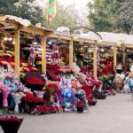 Vendors displaying flower bouquets to attract customers at F-6 Flower Market in Federal Capital