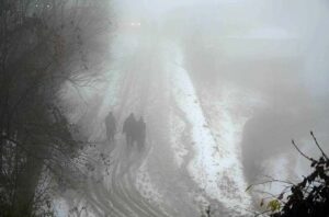 People capture the moment with their cell phones during first snowfall of the season.