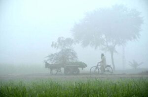 An attractive view of a foggy morning in the village