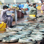 Vendors selling fish at Ibrahim Haideri area in the city