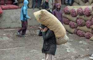 Vendors displaying seasonal fruit banana for bidding at Islamabad Fruit and Vegetable Market