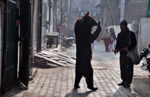 A juggler is showing gimmicks of bear to entertain the people in the street at Shamsher Town.