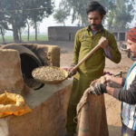 Workers busy filling sacks of peanuts after roasting at his workplace.