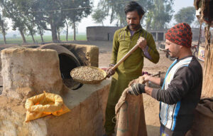 Workers busy filling sacks of peanuts after roasting at his workplace.
