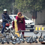 Woman throwing food for pigeons as mercy at roadside in the Provincial Capital.