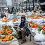 Vendor displaying seasonal fruit oranges to attract customers at Fruit and Vegetable Market.