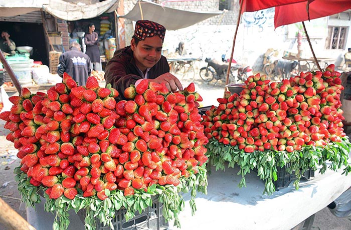 A vendor displaying the strawberry to attract the customers on his hand cart.
