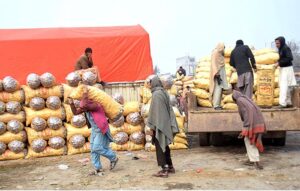 Labourers on the way while carrying potatoes sacks after unloading from transportation truck at Vegetable Market.
