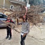 Youngsters carrying dry wood branches for burning purpose at Satellite town