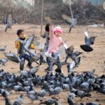 Children throwing food for pigeons as a mercy.