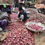 Labourers sorting good quality of onions at Fruit and Vegetable Market