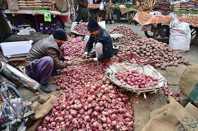 Labourers sorting good quality of onions at Fruit and Vegetable Market