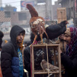 A vendor selling country-hens at roadside in the Provincial Capital