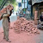Labourer busy in shifting bricks during construction work of a house