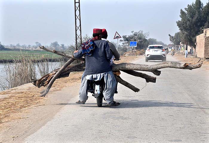 Motorcyclists on the way carrying long tree logs at Miro Khan Road.