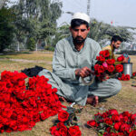 A man is busy in making red rose bouquets for selling purposes in the Hayatabad area