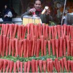 A Vendor busy in extracting carrot juice for customers at his roadside setup.