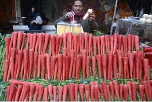 A Vendor busy in extracting carrot juice for customers at his roadside setup. 