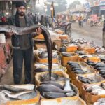 A vendor displaying fishes at his shop to attract the customers.