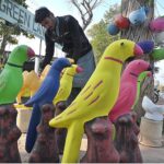 A vendor arranging colorful plant pots at his nursery to attract the customers in the Federal Capital
