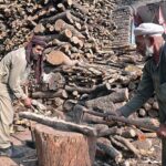 Laborers cutting wood into pieces for selling purpose at his workplace in the Federal Capital