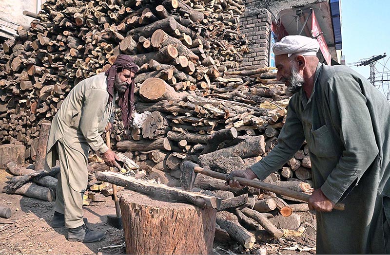 Laborers cutting wood into pieces for selling purpose at his workplace in the Federal Capital