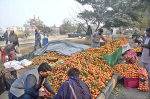 Vendors selling and displaying oranges at roadside setup near G-9 in the Federal Capital.