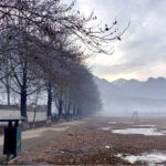 A view of thick fog during early morning