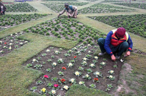 PHA workers busy sapling mini plants at local park near Railway Station.