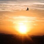 A beautiful view of first sunrise of the year 2024 in the City.