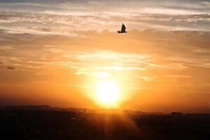 A beautiful view of first sunrise of the year 2024 in the City. 