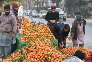 Vendors selling and displaying oranges at roadside setup near G-9 in the Federal Capital.