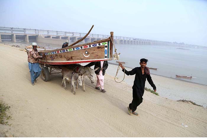 Fishermen on the way holding a boat on a donkey cart to land it in the Indus River
