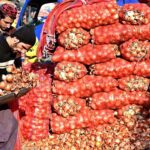 Laborer sorting good quality onions at Vegetable Market