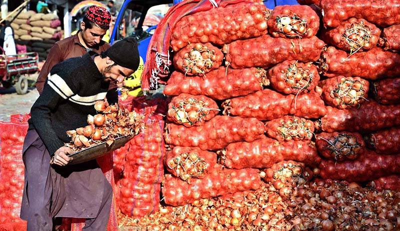 Laborer sorting good quality onions at Vegetable Market