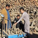 People buying woods for fire fuel as cold weather hit the provincial capital