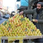 Man decorating guavas to attract customers at Jinnah Road.