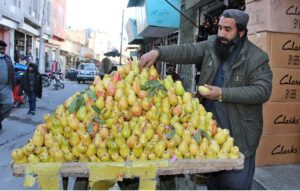 Man decorating guavas to attract customers at Jinnah Road.