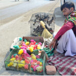 A vendor displaying chicks to attract the customers at Latifabad.