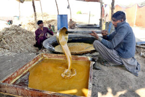 A worker preparing traditional sweet item Gur at Mirpurkhas road.