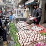 A vendor selling fish to the customers at his roadside setup.
