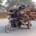 Motorcycle cart loaded with Tree-laden on its way in the city