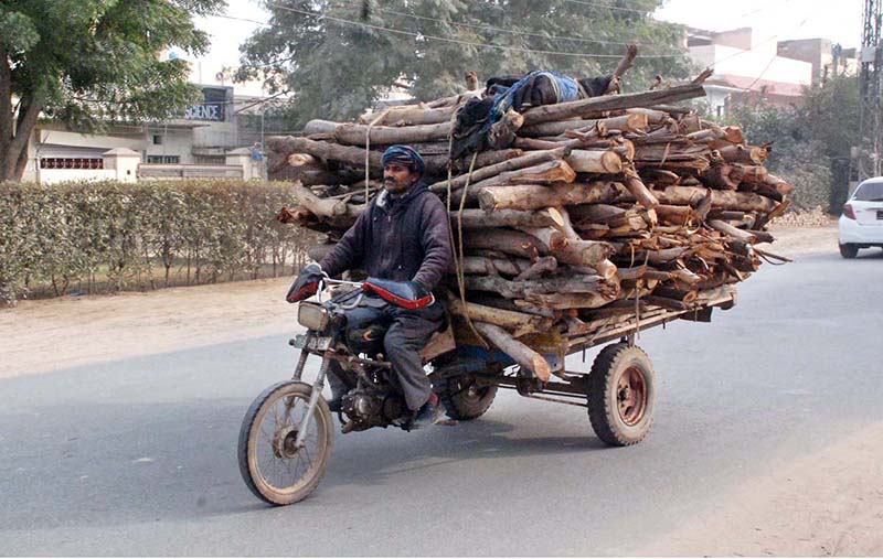Motorcycle cart loaded with Tree-laden on its way in the city